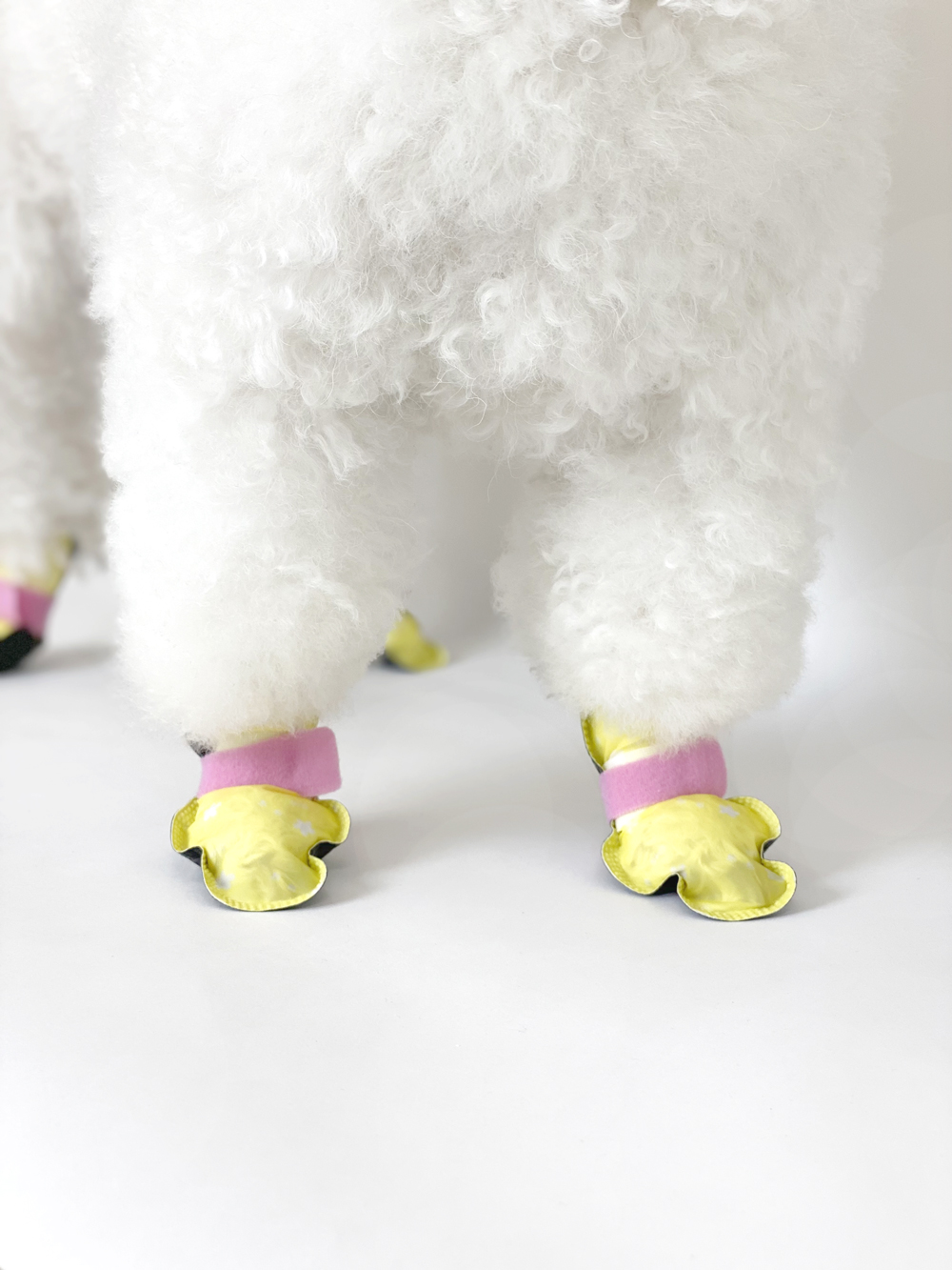 [옐로우 단일 색상] 신나라슈즈 20매 1개(소형/중형)