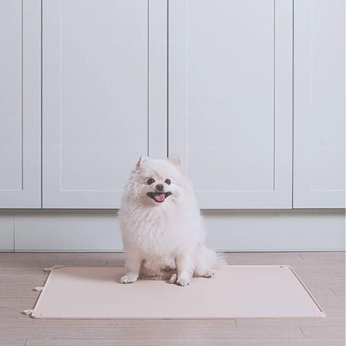 [묶음특가] 신나라 실리콘 논슬립 배변판(색상선택) 초대형(59x74cm) 3개