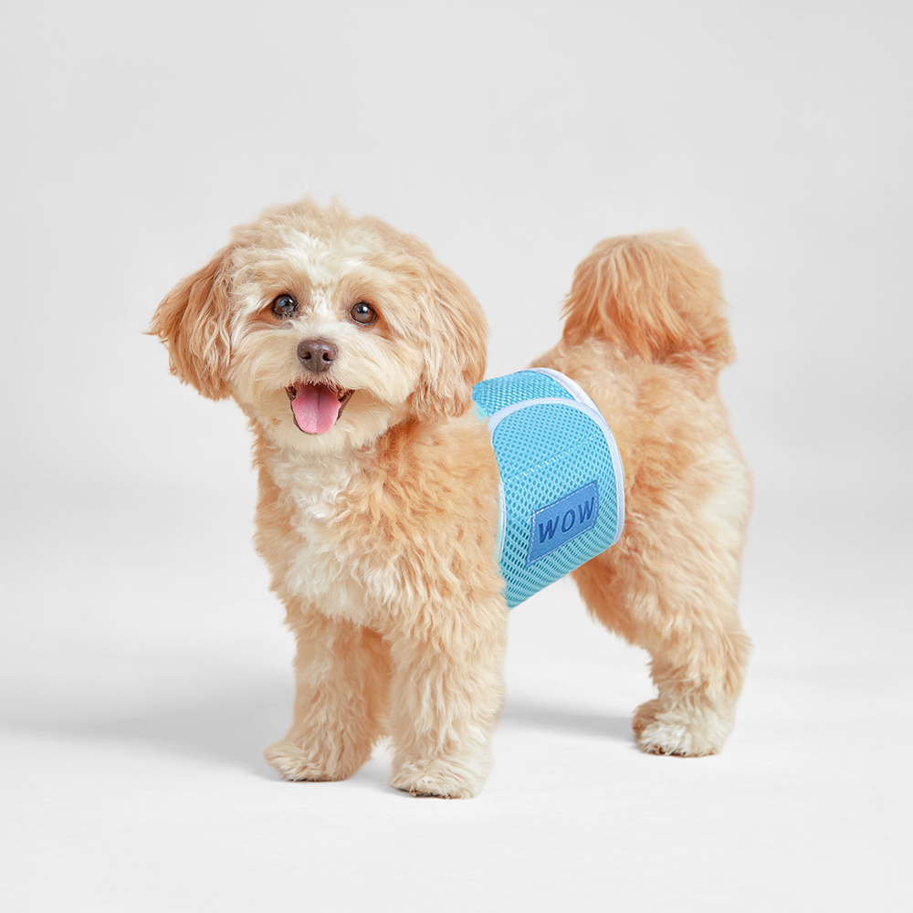 [묶음특가] 숨쉬는매너벨트 초대형 10개(80x20cm)